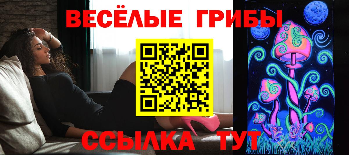 Псилоцибиновые грибы Psilocybe  Вход с VPN  наркота  Якутск 